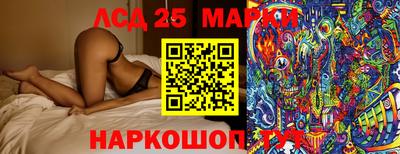 стаф Гатчина